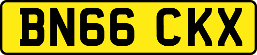 BN66CKX