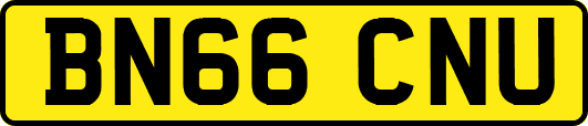 BN66CNU
