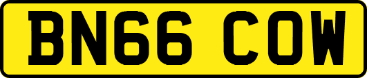 BN66COW