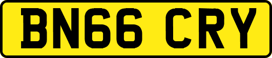 BN66CRY