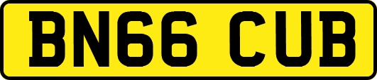 BN66CUB