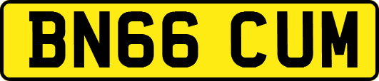 BN66CUM