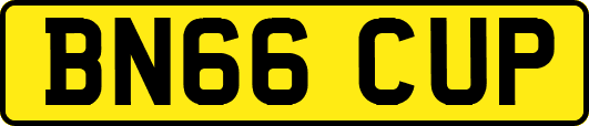 BN66CUP