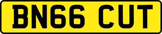 BN66CUT