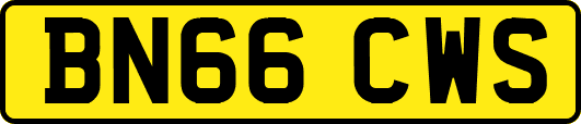 BN66CWS