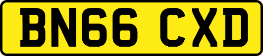 BN66CXD