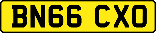 BN66CXO