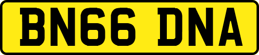 BN66DNA
