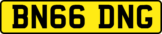 BN66DNG