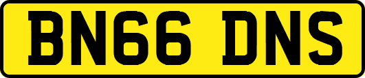 BN66DNS