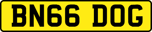 BN66DOG