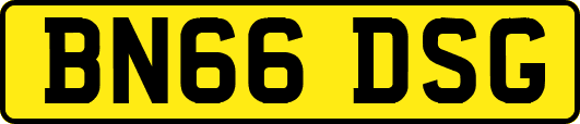 BN66DSG