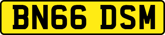 BN66DSM