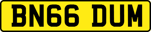 BN66DUM