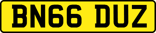 BN66DUZ