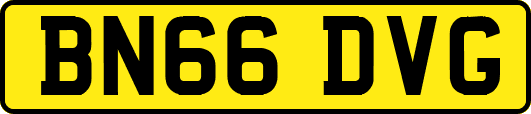 BN66DVG