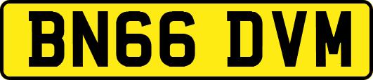 BN66DVM