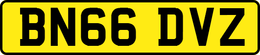 BN66DVZ