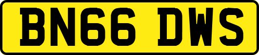 BN66DWS