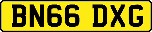 BN66DXG