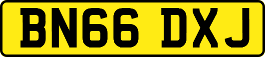BN66DXJ