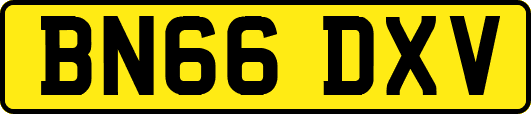 BN66DXV