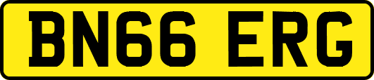 BN66ERG