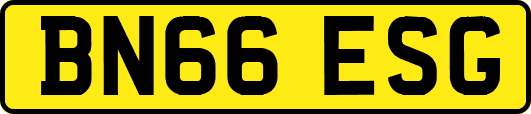 BN66ESG