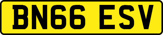 BN66ESV