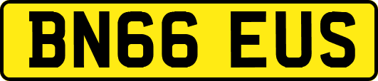 BN66EUS