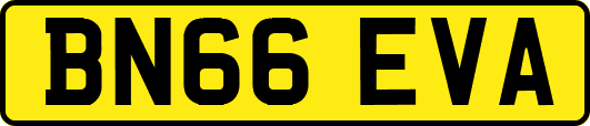BN66EVA