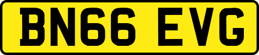 BN66EVG