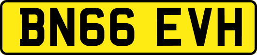 BN66EVH