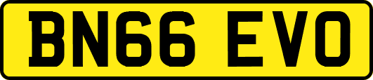 BN66EVO