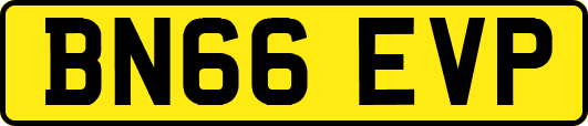 BN66EVP