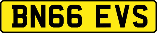 BN66EVS