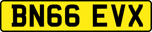 BN66EVX