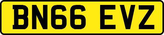 BN66EVZ