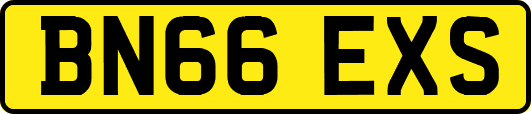 BN66EXS