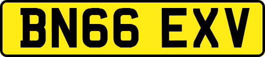 BN66EXV