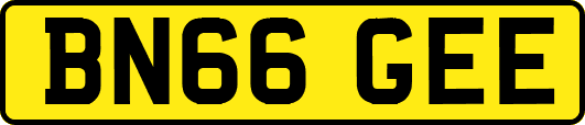 BN66GEE