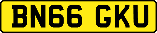 BN66GKU