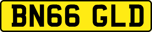 BN66GLD