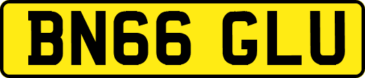 BN66GLU