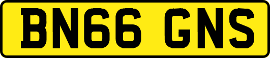 BN66GNS