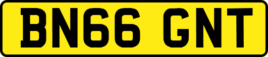 BN66GNT