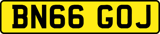 BN66GOJ