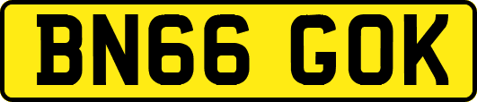 BN66GOK