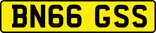 BN66GSS