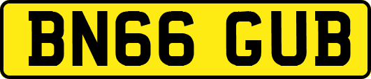 BN66GUB